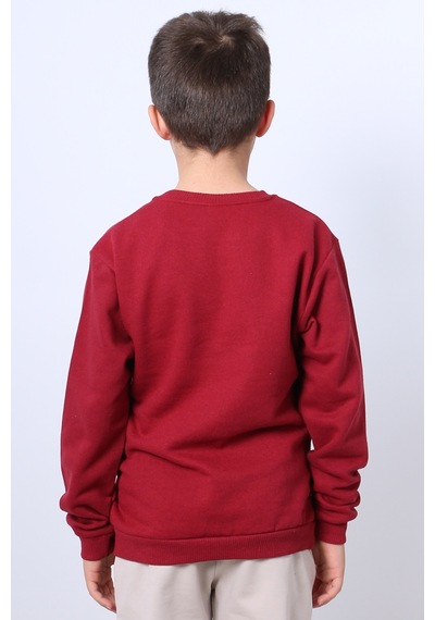 Hçm Erkek Çocuk Şardonlu Sweat Karakter Baskılı Ribanalı E34 Bordo