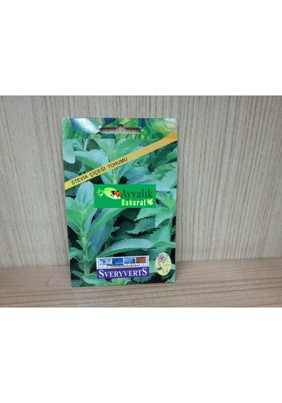 Stevia Çiçeği Tohumu Paket