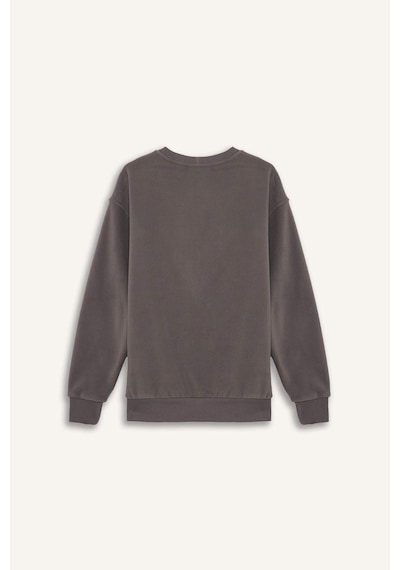 Defacto Relax Fit Bisiklet Yaka Polar Sweatshirt F3685ax25wngr308 Gri-gr308 Defacto Relax Fit Bisiklet Yaka Polar Sweatshirt F3685ax25wngr308 Gri-gr308
