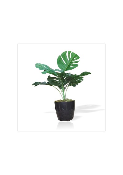Uzun Çimli Saksılı Yapay Monstera Deliciosa Deve Tabanı Bitkisi