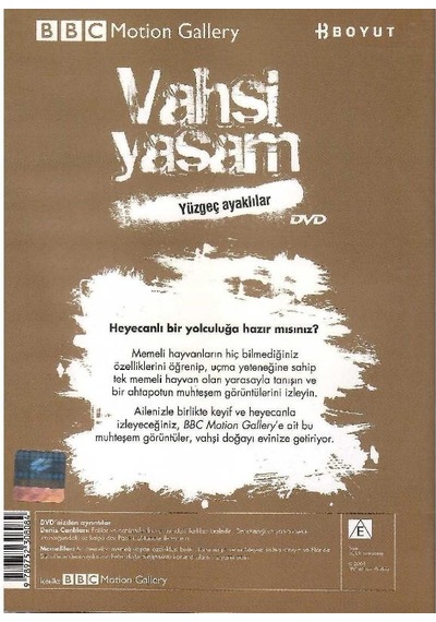 Bbc Motion Gallery - Vahşi Yaşam Yüzgeç Ayaklılar Deniz Canlıları Memeliler - Dvd