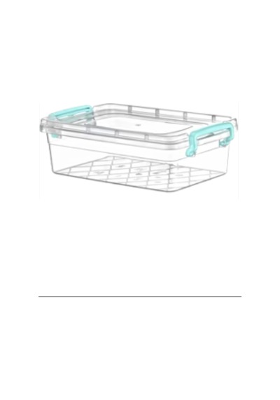 2.2 Lt. Midi Box Saklama Kabı Royaleks-ak244 Çok Renkli