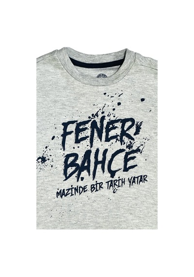 Fenerium Fenerbahçe Lisanslı Mazinde Bir Tarih Yatar Çocuk Sweat Gri