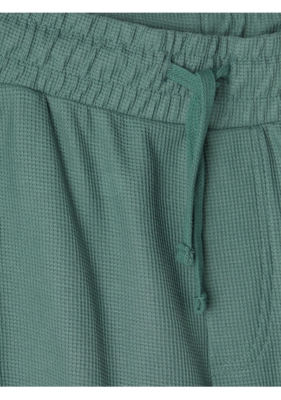 Lc Waikiki Lc Waıkıkı Yeşil Regular Fit Erkek Şort