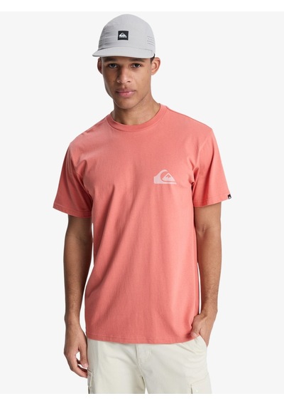 Quıksılver Ev Mını Logo Erkek Desert Sand - Solid T-shırt Eqyzt08181-2020 Pembe