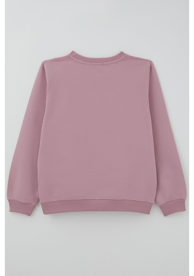 Breeze Kız Çocuk Sweatshirt Taş Aksesuarlı 9-14 Yaş , Gülkurusu