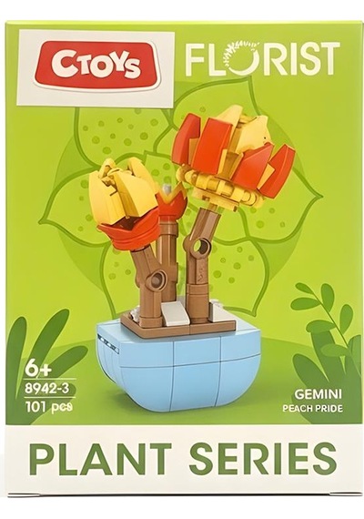 Ctoys Florist Burçlar Saksılı Bitki Yapım Seti Gemini 8942 3