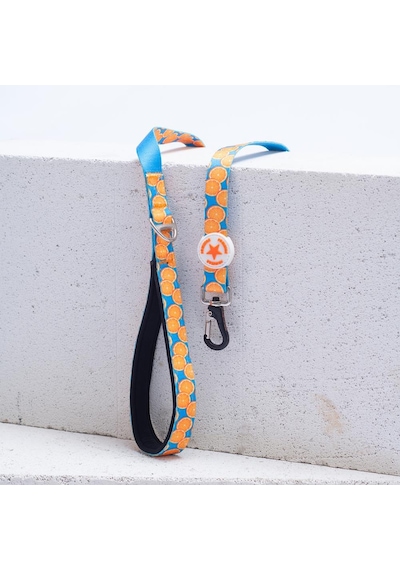 Citrus Leash Narenciye Desenli Kedi Köpek Sevk & Gezdirme Kayışı Köpek Uzatma Tasması Turkuaz