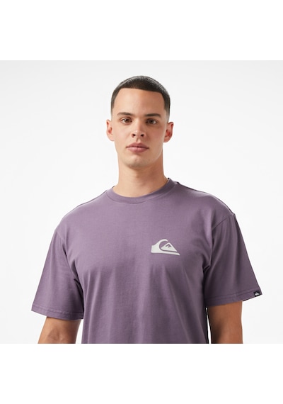 Quiksilver Ev Mini Logo Ss Erkek Mor T-shirt Eqyzt08042 Mor