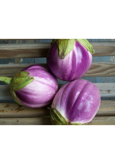 10+Italyan Rosa Bianca Alacalı Patlıcan Tohumu