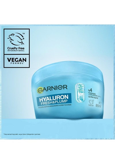 Ga.skinactive Face Hyaluron Sorbet Nemlendirici Yüz Kremi