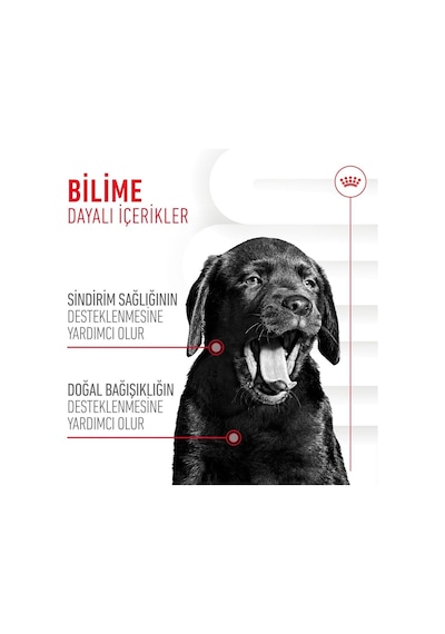 Immunity&digestion Chews Yavru Köpekler İçin Bağışıklık Ve Sindirim Sistemini Destekleyen Tamamlayıcı Ödül Maması 100g