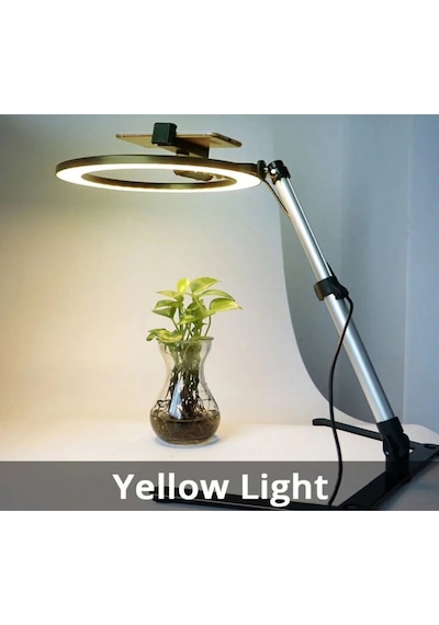 Masaüstü Ürün Çekim Stand Video Ve Fotoğraf Çekimi 10" Ring Light Tripod Selfie Işık Çekim Işığı