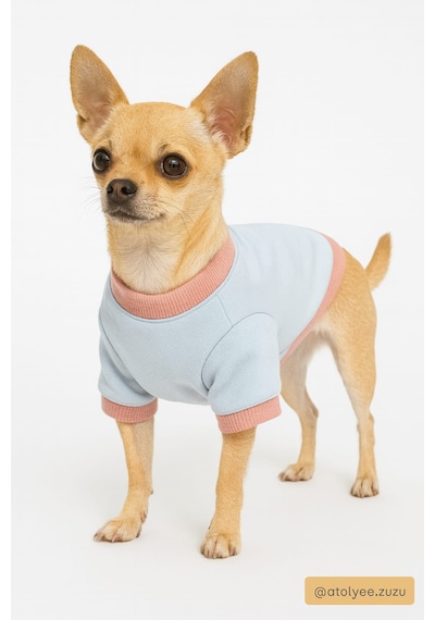 Atölye Zuzu Küçük Irk Köpek Sweatshirt Pamuklu