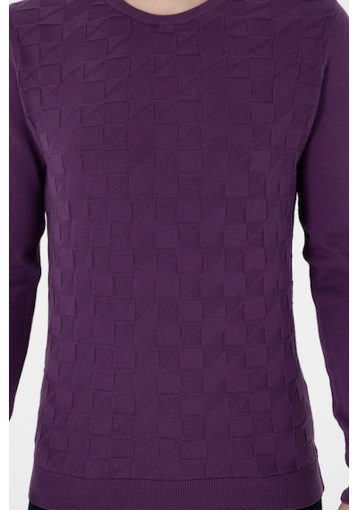 U.S. Polo Assn. Erkek Mor Basic Kazak