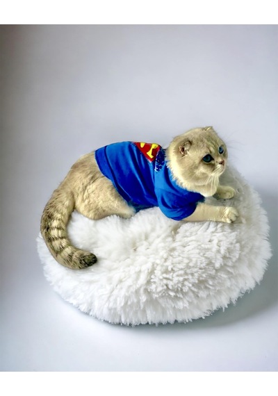 Mavi Superman Kedi Tişörtü Kedi Kıyafeti Kedi Elbisesi