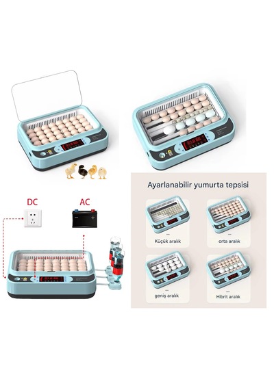 Yate10 40-60 Yumurta Tam Otomatik Kuluçka Makinası