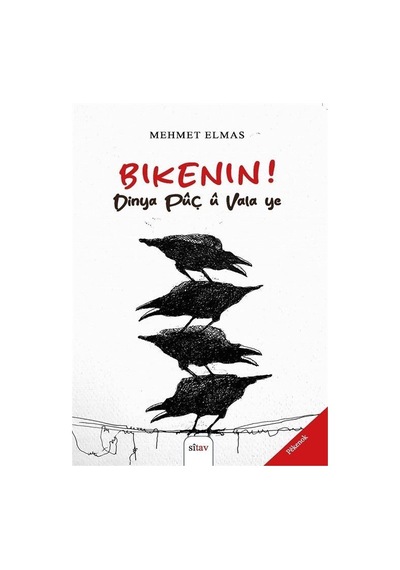 Bikenin Dinya Pûç Û Vala Ye / Mehmet Elmas