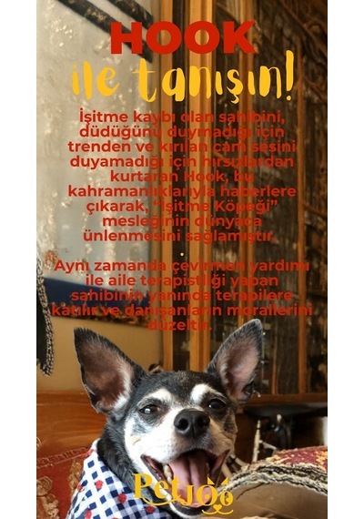 Petjoo 7.Hook Sarı-Kırmızı Qr'lı Köpek Künyesi