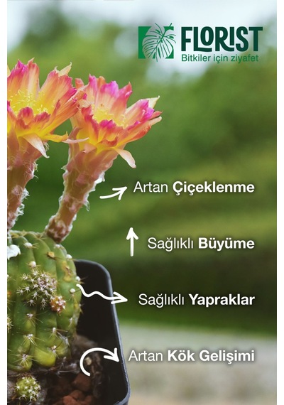 Florıst-konsantre Sıvı Kaktüs Ve Sukulent Bitki Besini 200