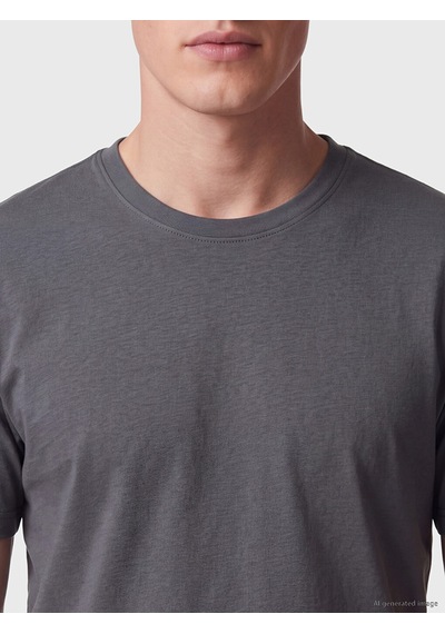 Lcwaıkıkı Classic Antrasit Regular Fit İnce Kumaş Tişört /03