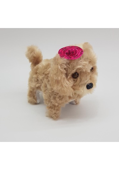Pilli Sesli Yerde Yürüyen Sevimli Köpek Krem