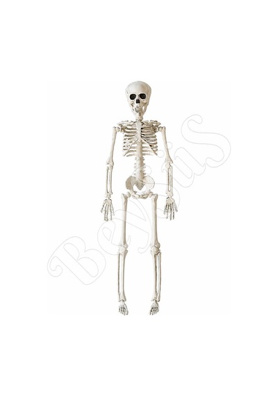 Beysüs Halloween İskelet Şekil Alabilen 40 Cm Tüm Yaşlar