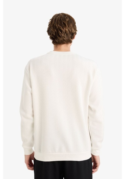 Defacto Regular Fit Bisiklet Yaka Sweatshirt F9854ax26spwt32 Beyaz-wt32