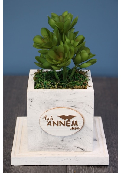 Yapay Çiçek Deposu Anne Hediyesi Beton Saksıda Succulent