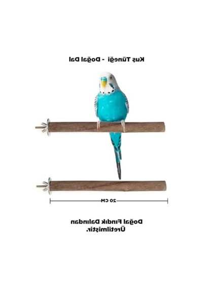 Gerçek Fındık Dalından Doğal Ahşap Kuş Tüneği, 20 Cm