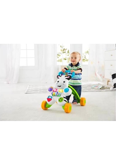 6 Ay Fisher Price Melodili Zebra Yürüteç Dld80