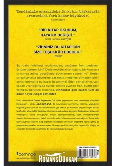Incognito - Beynin Gizli Hayatı - David Eagleman - Domingo Yayınevi