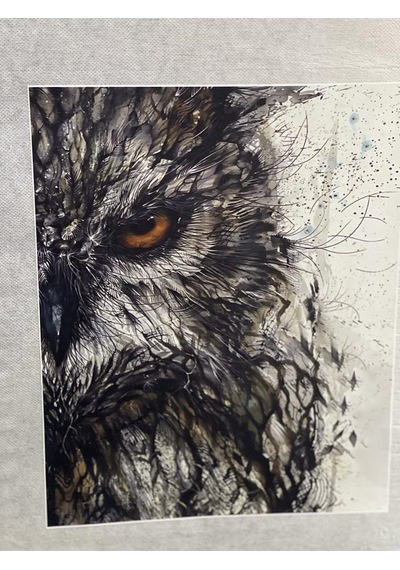 22x18 Cm Ütü Ile Yapışan Baykuş Gözü Baskı Aplike Tişört Baskı Arma Yama Dikiş Hobi