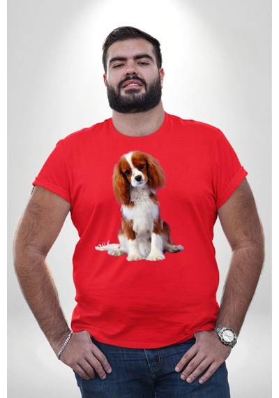 Angemiel Cavalier King Charles Spaniel Kırmızı Büyük Beden Erkek Kadın Unisex Basic Ön Baskılı Tişört Kırmızı