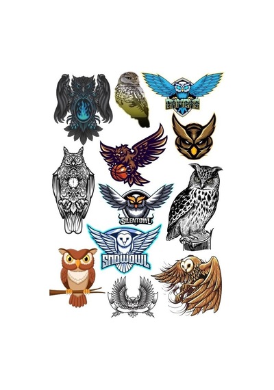 Baykuş Owl Sticker Set-2 13 Parça Telefon, Tablet, Defter, Laptop Sticker