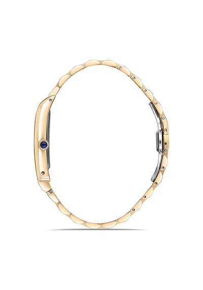Momentus Cm365g-02sg Erkek Kol Saati Metalik