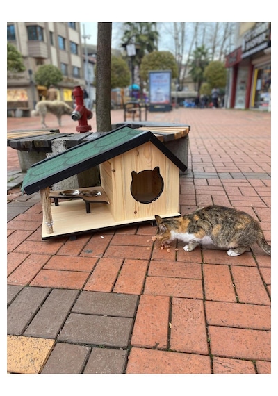 Reyo Narım Ahşap Mama Standlı Tırmalama Tahtalı Özel Tasarım Kedi Barınağı, Kedi Barınağı 74x45 Cm