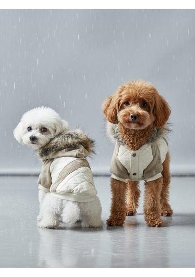 Creamy Camo Kamuflaj Desenli Krem Rengi Köpek Montu Kışlık Ceket