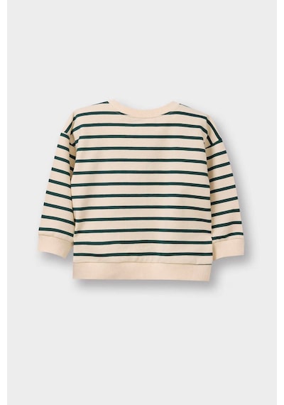 Defacto Erkek Bebek Regular Fit Bisiklet Yaka Çizgili Sweatshirt Kumaşı Sweatshirt E0280a526spbg319 Bej-bg319 Defacto Erkek Bebek Regular Fit Bisiklet Yaka Çizgili Sweatshirt Kumaşı Sweatshirt E0280a526spbg319 Bej-bg319