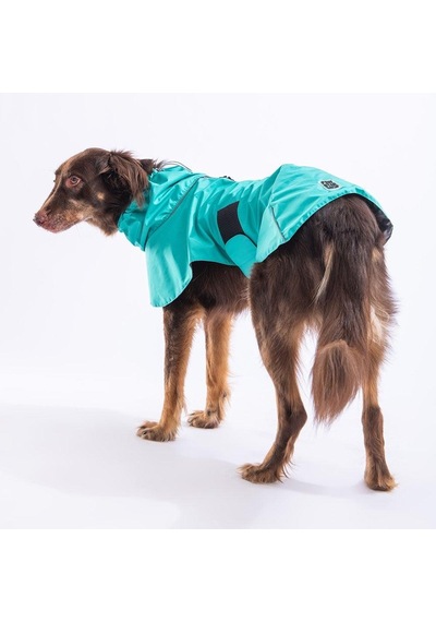 Pawstar Mint Colombia Yağmurluk