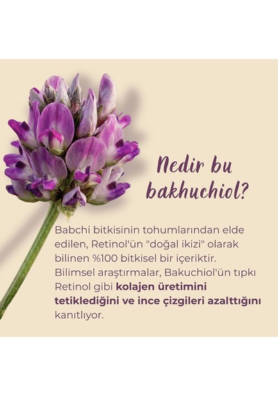Night Elixir Yenileyici Gece Serumu Doğal Retinol Alternatifi Bakuchiol %100 Doğal Mikrobiyom Dostu