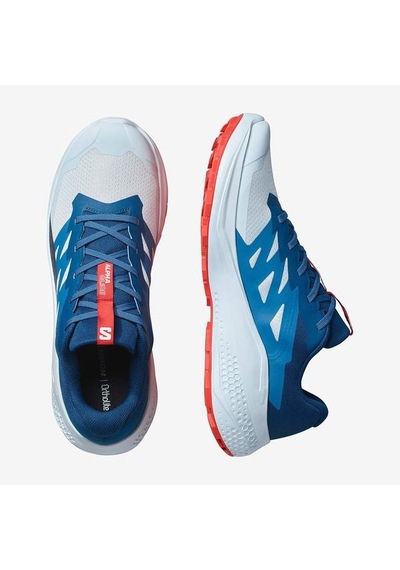 Salomon Alphaglide Erkek Koşu Ayakkabısı Çok Renkli