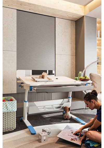 Sirius Standart Yükseklik Ve Eğim Ayarlı, Bilgisayar Ve Oyuncu Masası, Ofis Ve Çalışma Masası Mavi Gri Sirius Standart Yükseklik Ve Eğim Ayarlı, Bilgisayar Ve Oyuncu Masası, Ofis Ve Çalışma Masası Mavi Gri
