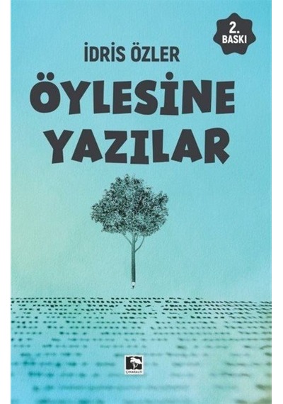 Öylesine Yazılar / İdris Özler