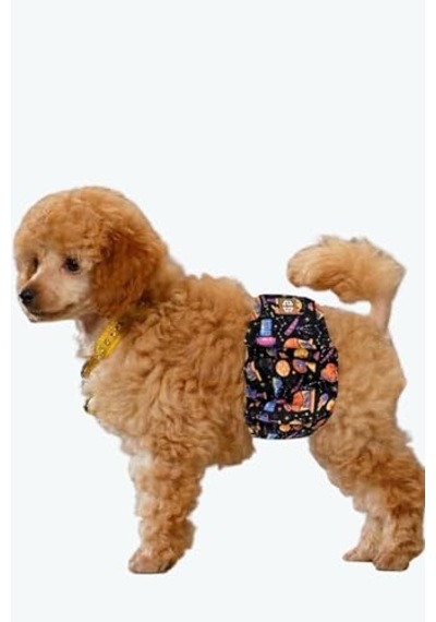 Erkek Köpek Çiş Bezleri, 3'lü Avantajlı Paket, 1 Paket 3 Farklı Desen Space, Small