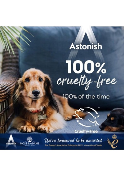 Astonish Koltuk Ve Halı Temizleyici Sprey 750 Ml