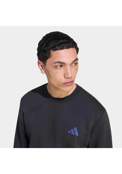 Adidas Terrex Snow Sport Siyah Sweatshirt Ks2510