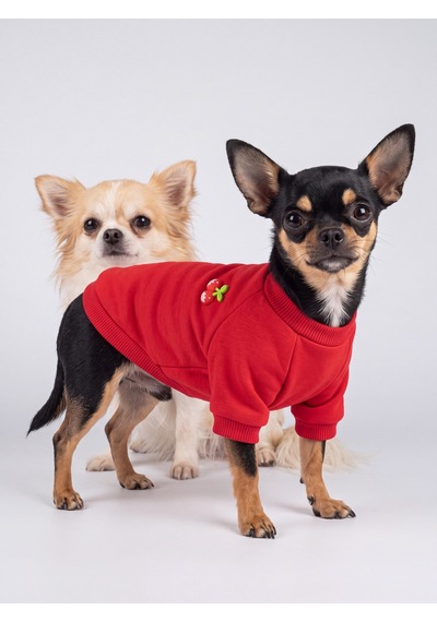 Kiki Kiraz Detaylı Kırmızı Köpek Polar Sweatshirt