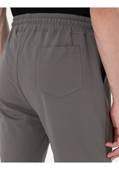 Pierre Cardin Antrasit Regular Fit Örme Şort 50310719-vr006