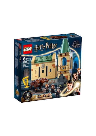 LEGO® Harry Potter 76387 Hogwarts Fluffy Ile Karşılaşma 397 Parça
